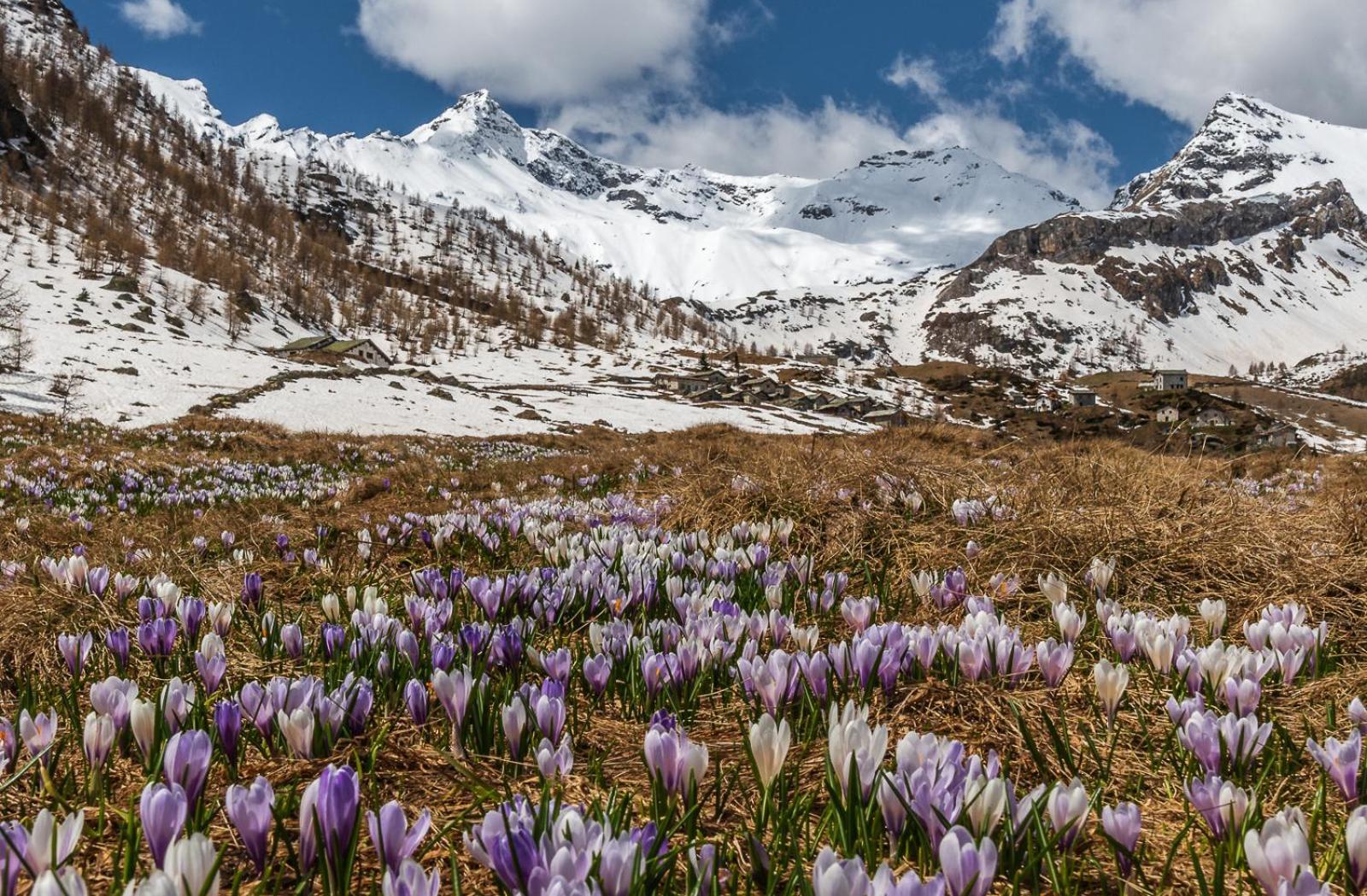 Belcolle, Il Bello Della Tranquillita Chiavenna Dış mekan fotoğraf